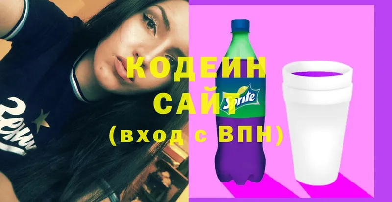 Кодеин напиток Lean (лин)  магазин продажи наркотиков  Каменка 